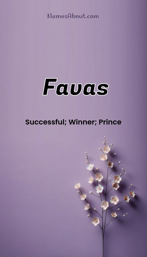 Meaning of Favas