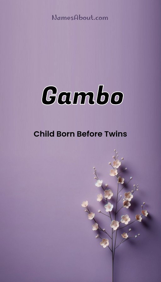 Meaning of Gambo