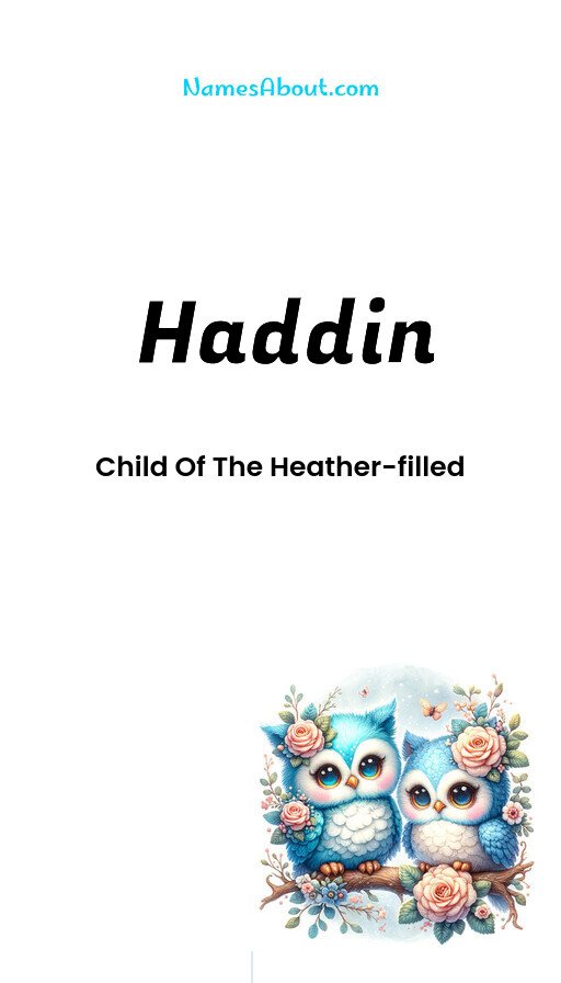 Meaning of Haddin