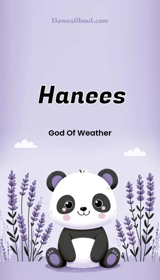 Hanees name and meaning