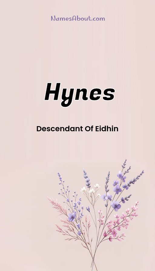 Meaning of Hynes