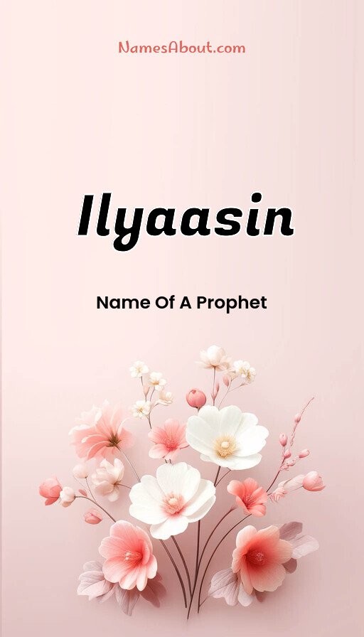 Meaning of Ilyaasin