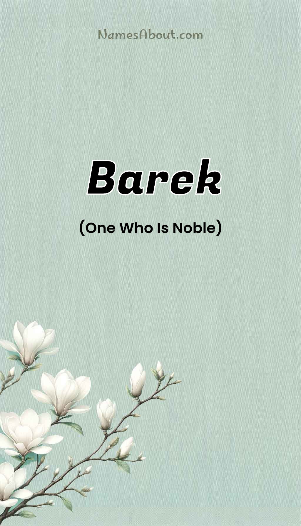 Barek name and meaning