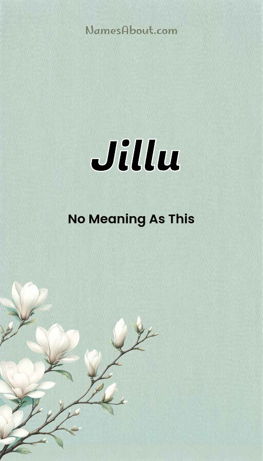 Meaning of Jillu