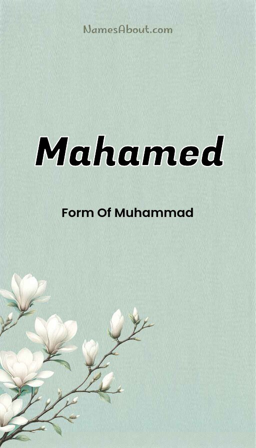 Meaning of Mahamed