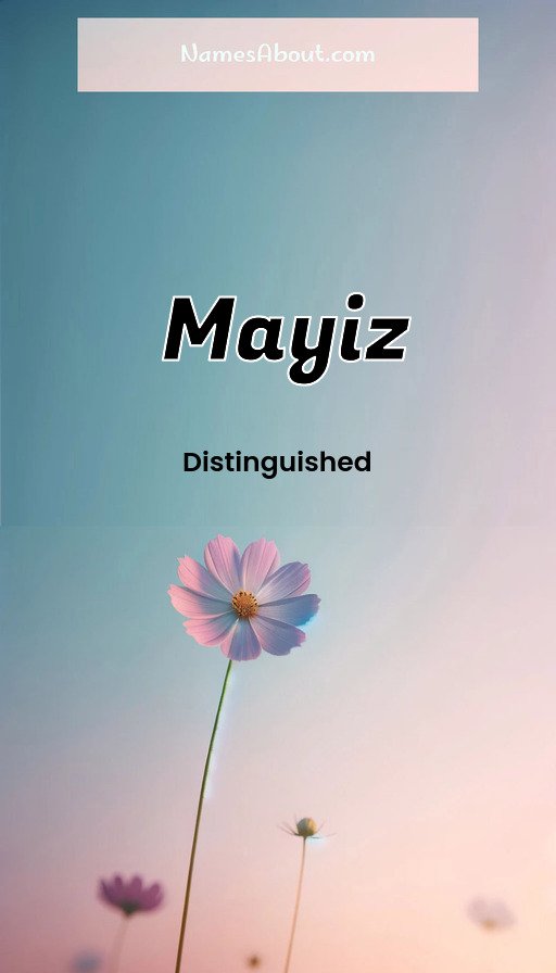 Meaning of Mayiz
