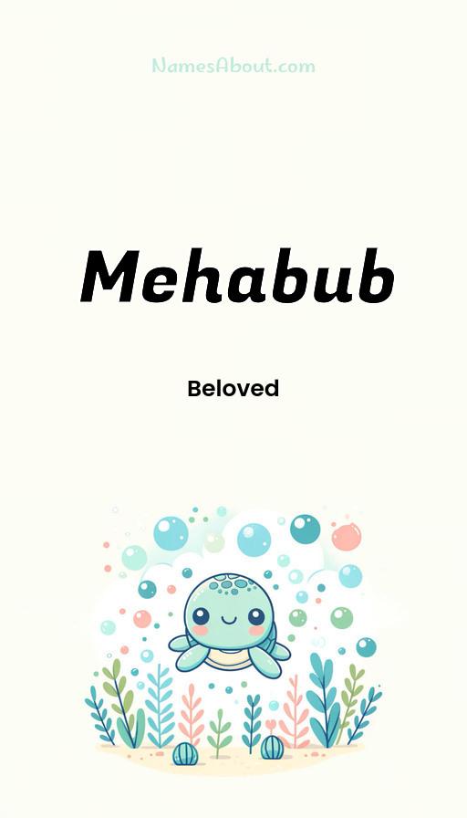 Illustration of Mehabub