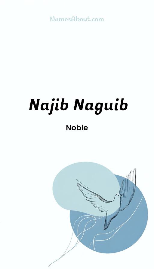 Najib Naguib name and meaning