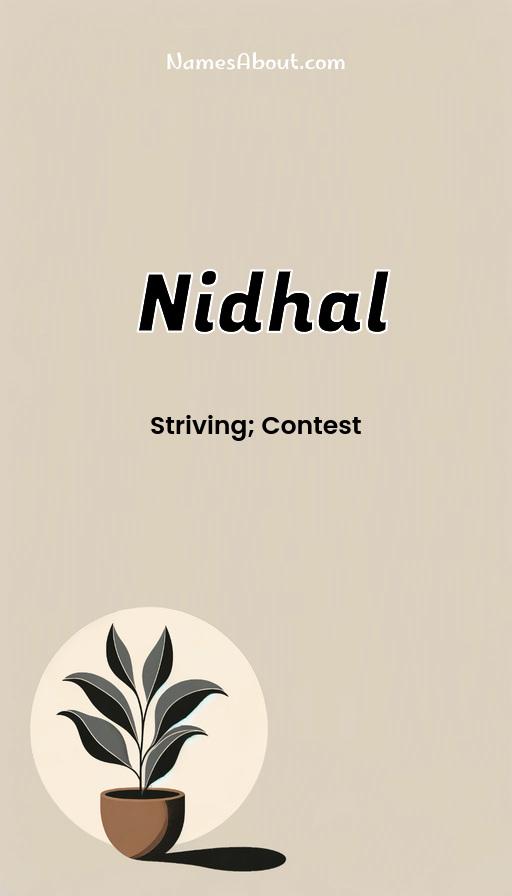 Illustration of Nidhal