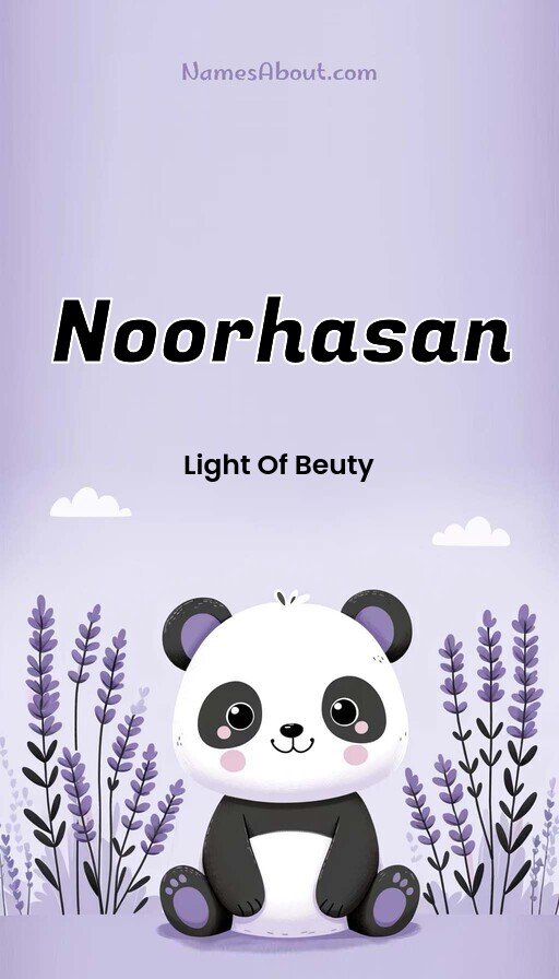 Meaning of Noorhasan