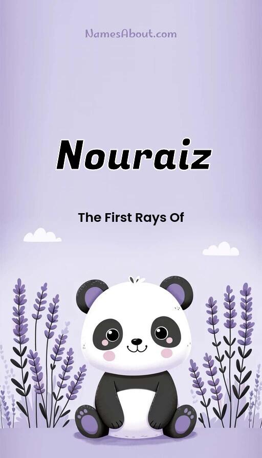 Meaning of Nouraiz