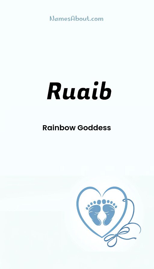 Meaning of Ruaib