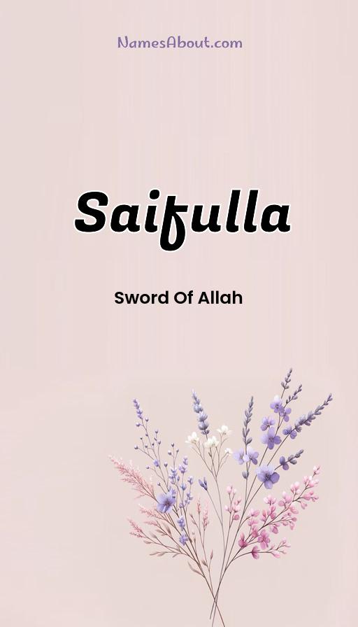 Illustration of Saifulla