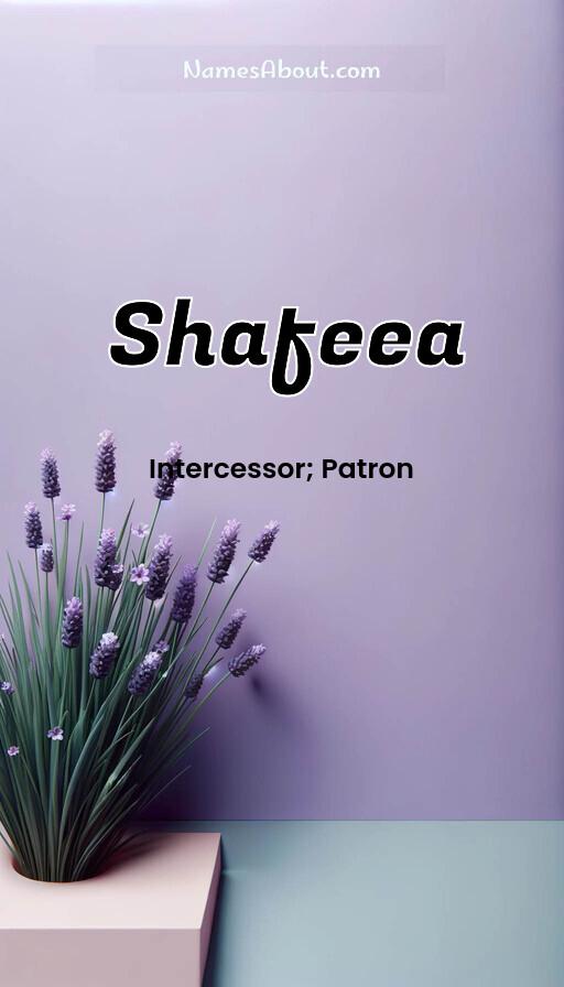 Illustration of Shafeea