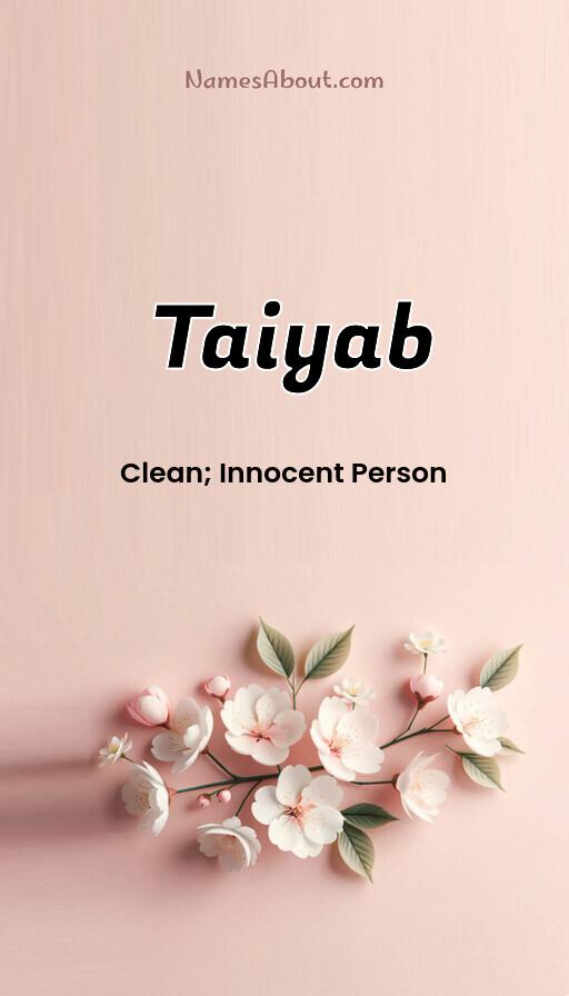 Meaning of Taiyab