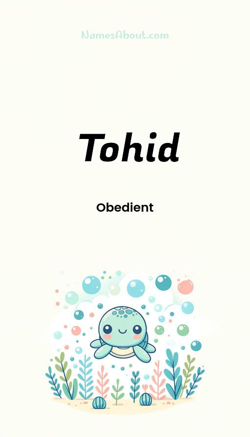 Illustration of Tohid