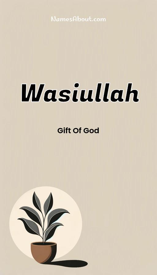 Illustration of Wasiullah