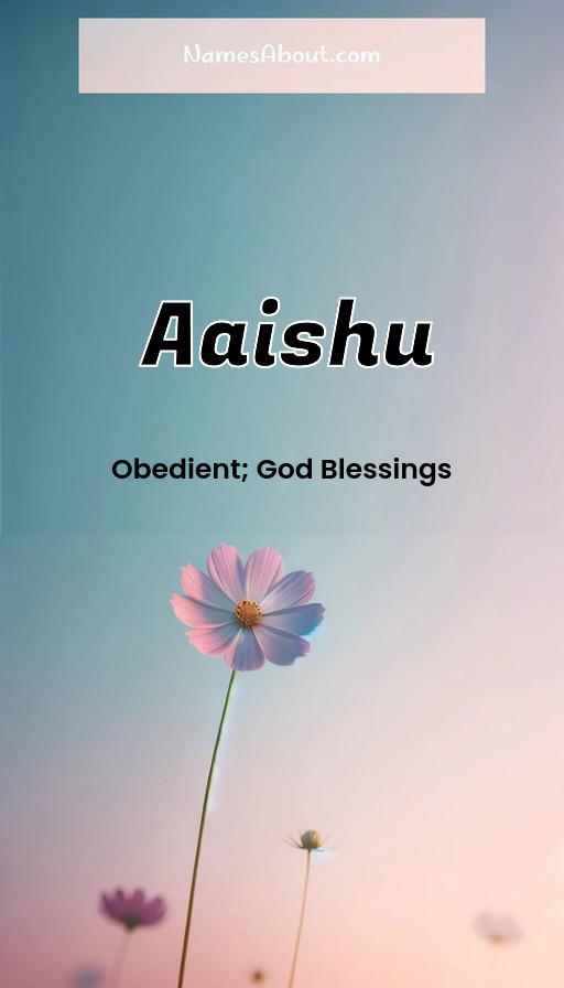 Meaning of Aaishu