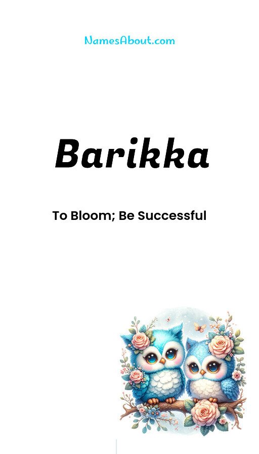 Meaning of Barikka