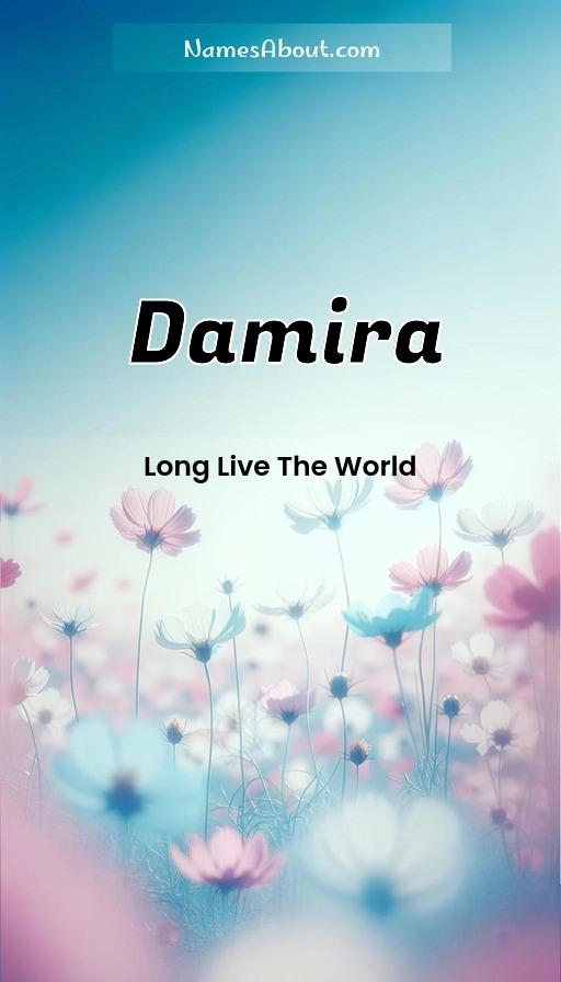 Illustration of Damira