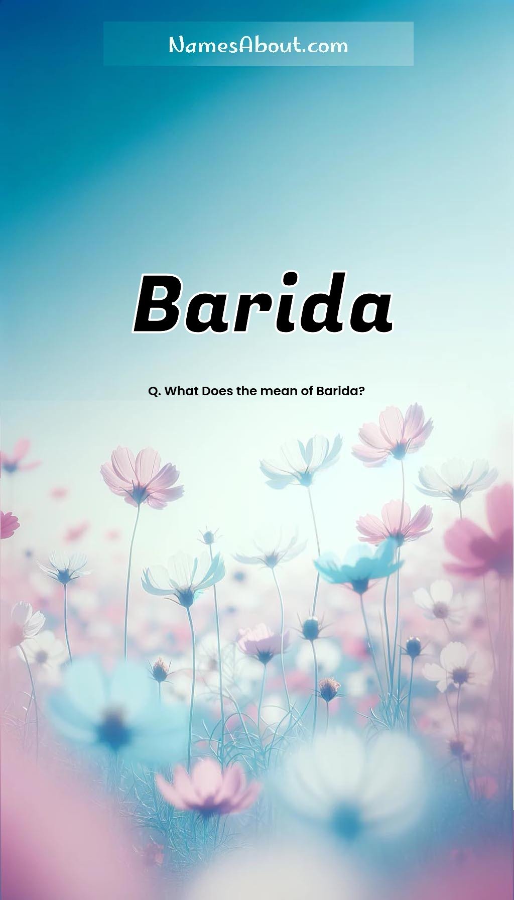 Barida name and meaning