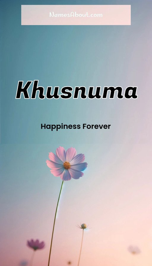 Meaning of Khusnuma