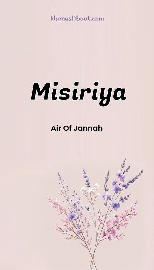 Meaning of Misiriya
