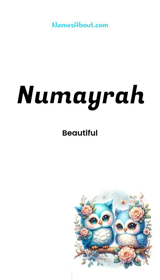 Illustration of Numayrah