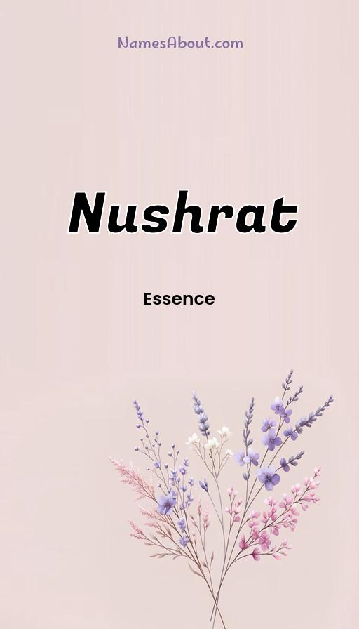 Illustration of Nushrat