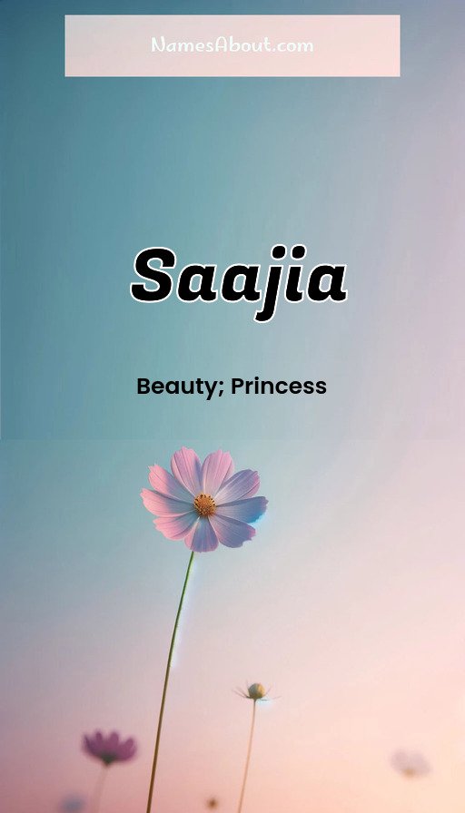 Meaning of Saajia