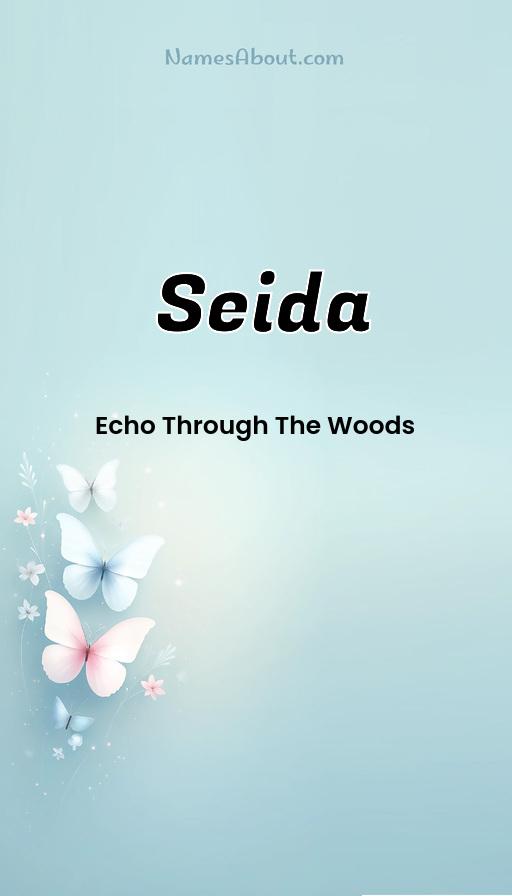 Illustration of Seida