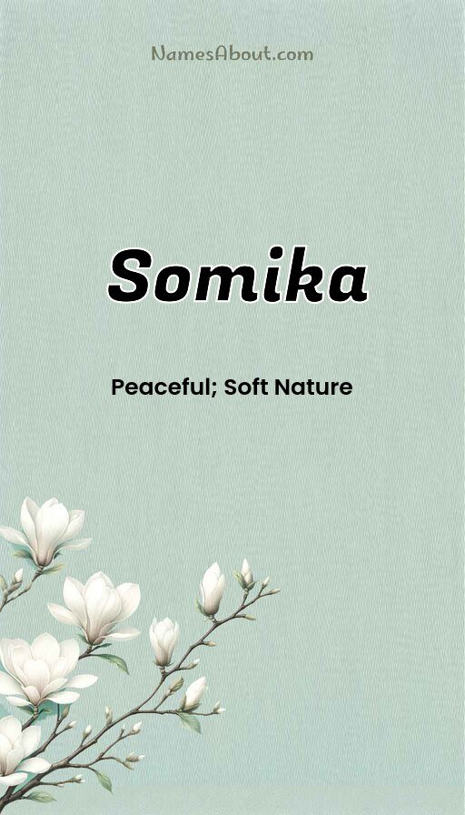 Meaning of Somika