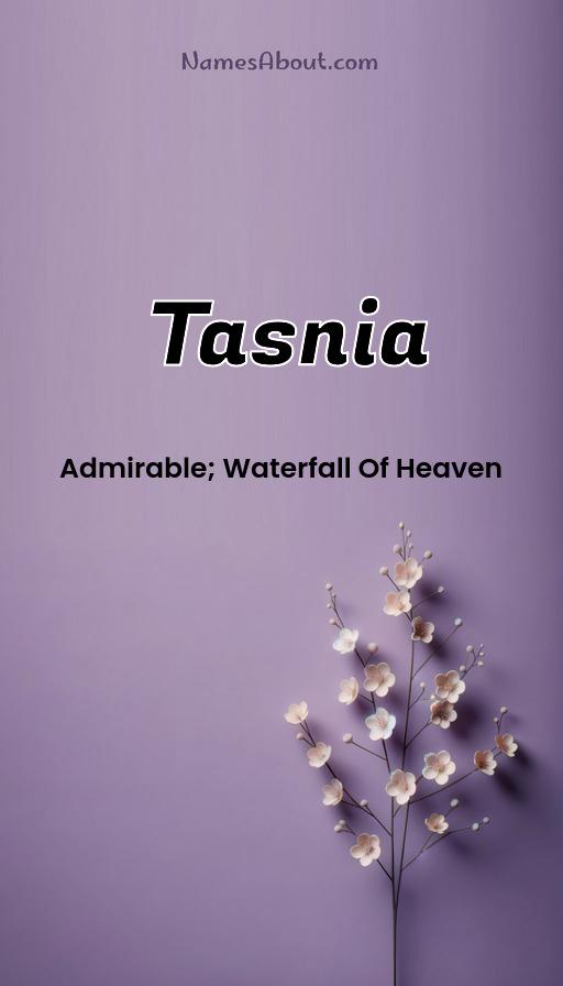 Illustration of Tasnia