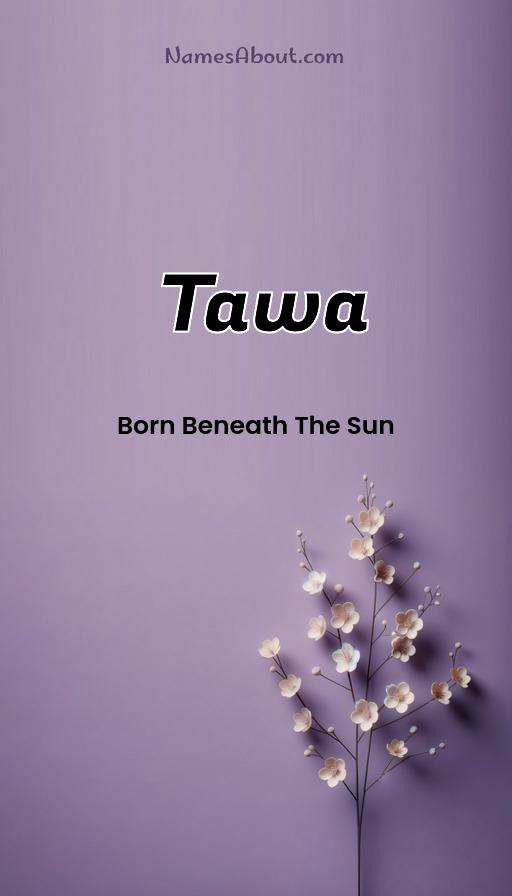 Illustration of Tawa