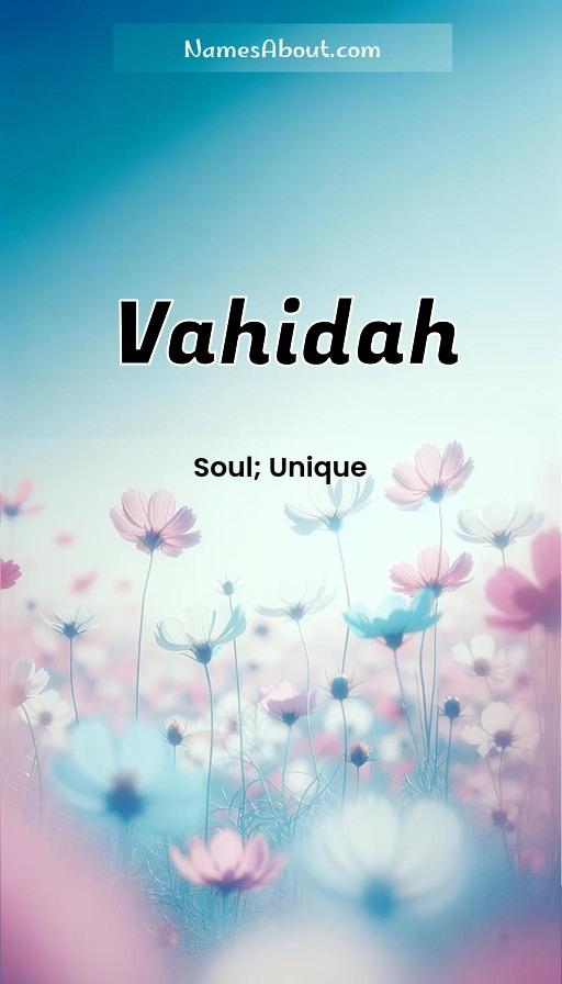 Illustration of Vahidah