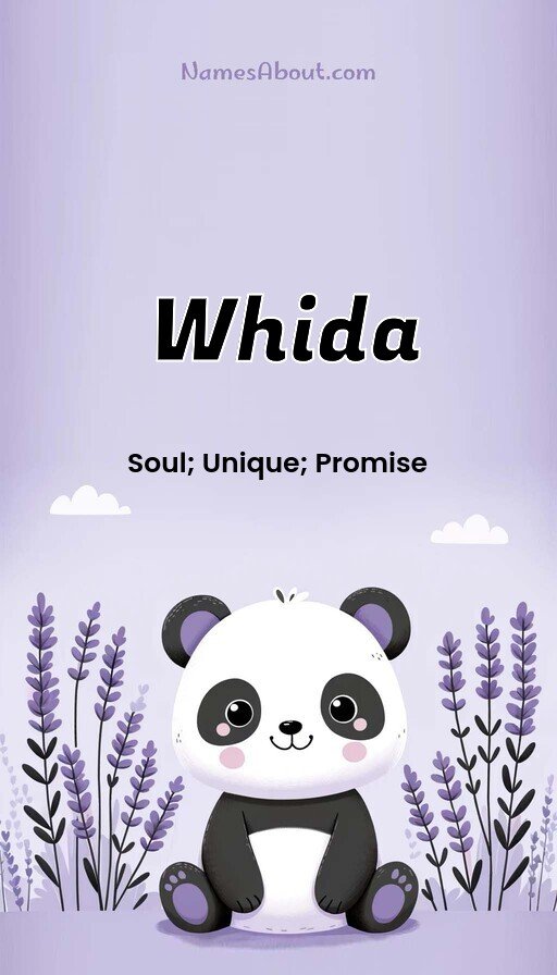 Meaning of Whida