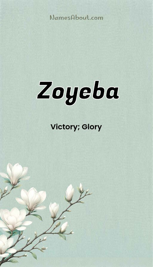 Meaning of Zoyeba