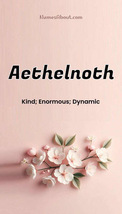 Meaning of Aethelnoth