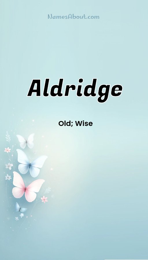 Meaning of Aldridge
