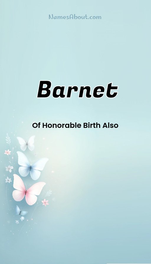 Meaning of Barnet