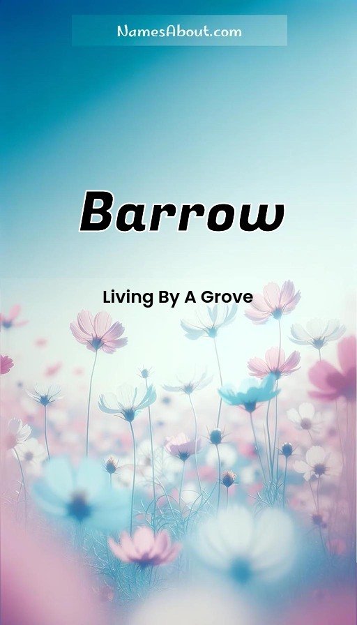 Meaning of Barrow