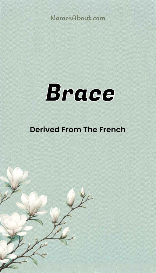 Meaning of Brace