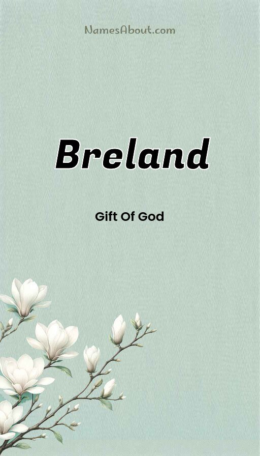 Meaning of Breland