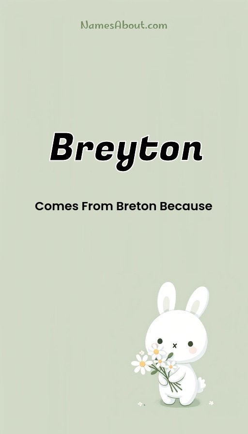 Meaning of Breyton