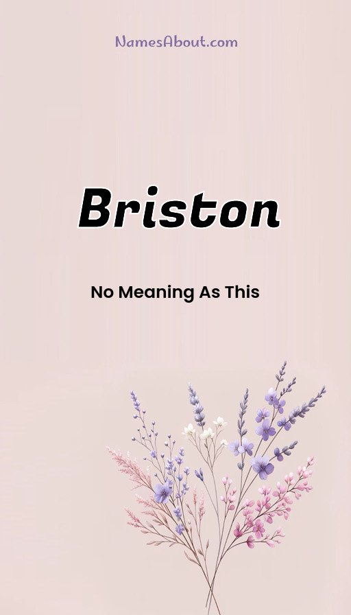 Meaning of Briston