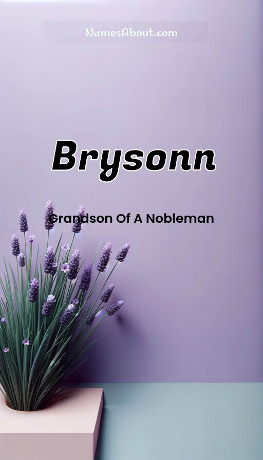 Meaning of Brysonn