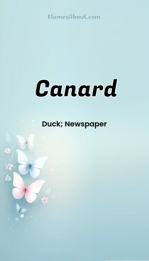 Meaning of Canard