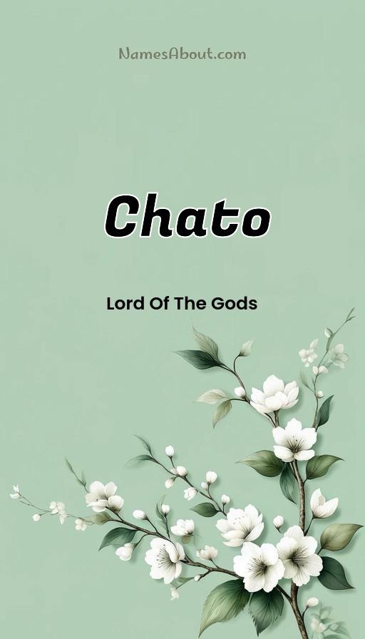 Chato name and meaning