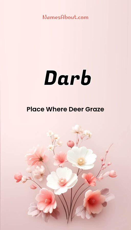 Meaning of Darb