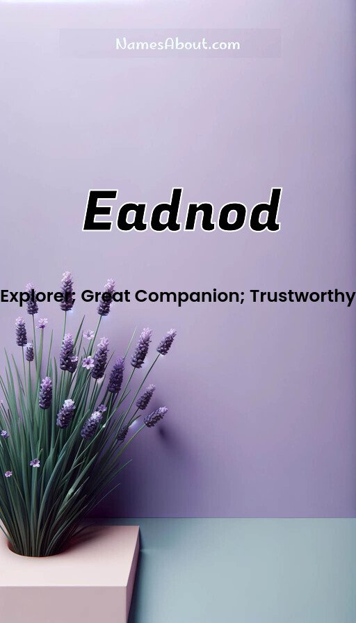 Meaning of Eadnod
